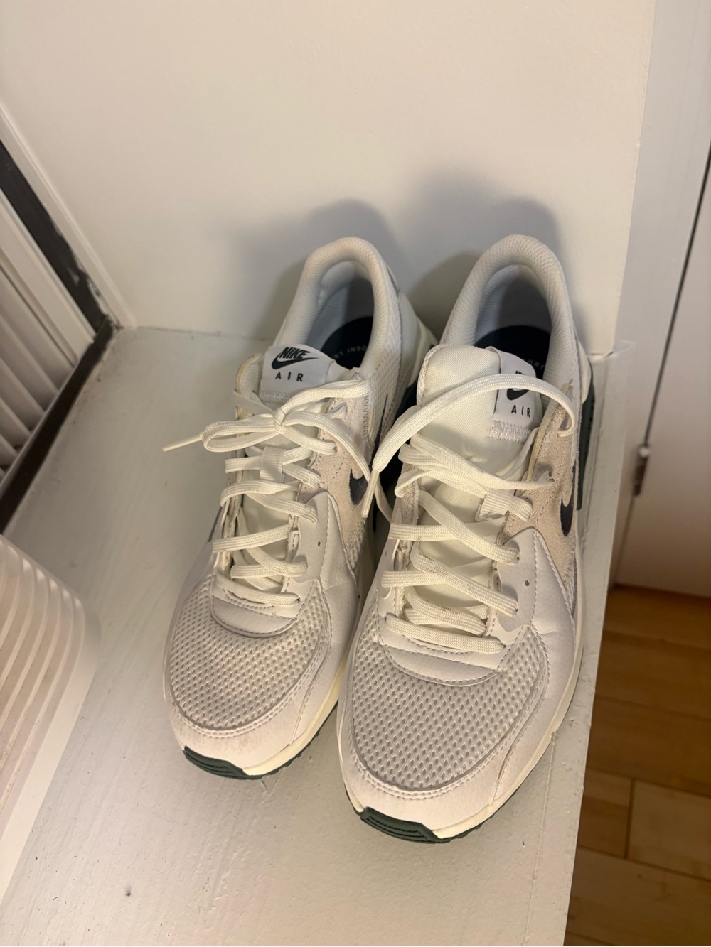 Nike Men’s White Sneakers with Black Swoosh